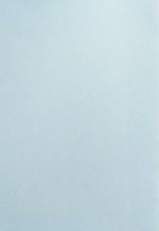 Prospettiva per una formazione inculturata nella Congregazione delle FMSSC in …