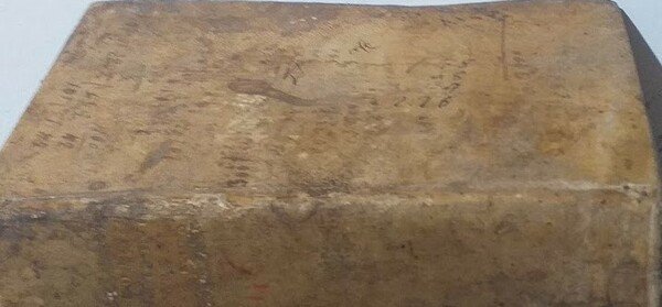 Insitutione Juris Ecclesiatici cum AnimadversionibusJusti Henningi Boehmeri. Editio Quarta