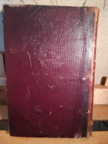 Studii letterarii