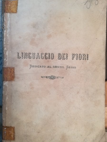 Linguaggio dei fiori dedicato al gentil sesso.