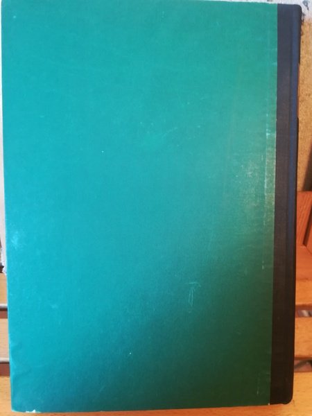 Il capitale. Critica dell'economia politica. Libro primo.
