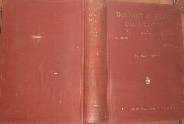 Trattato di diritto del lavoro. Volume primo