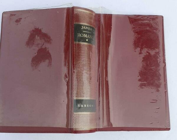 Romanzi I Henry James