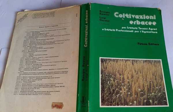 Coltivazioni erbacee | Immagine principale