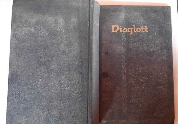 The emphatic diaglott containing the original greek text of what … | Immagine principale