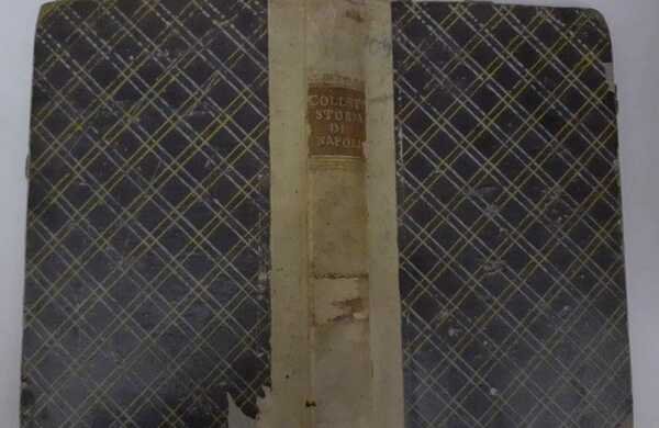 Storia del Reame di Napoli dal 1734 sino al 1825. Volume I.