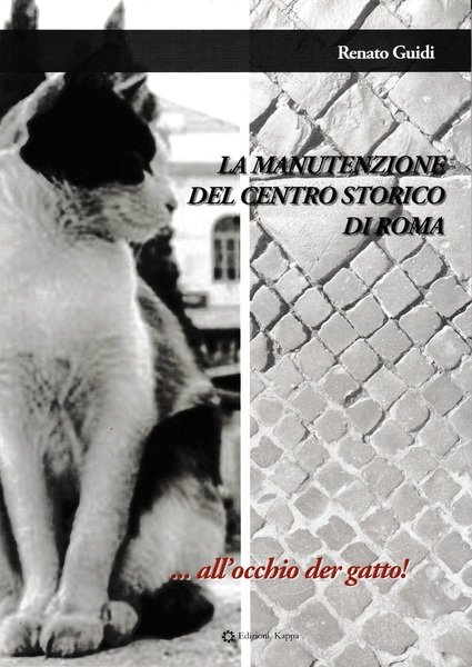 La manutenzione del centro storico di Roma...all'occhio der gatto!