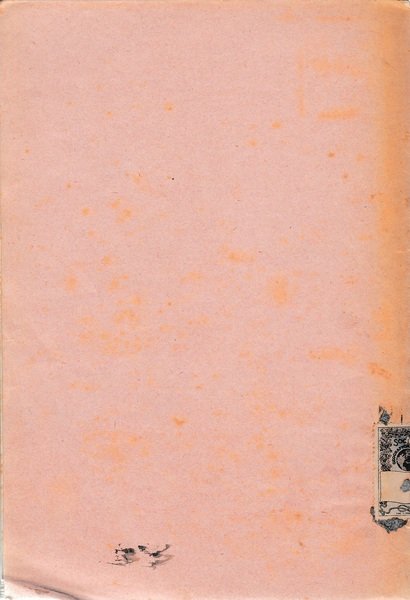 Studio Geodetico intorno agli orizzonti. Estratto dalla Rivista di Fisica, …