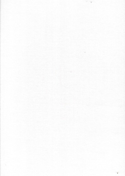 La Foresta di Tarvisio