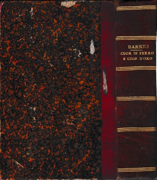 Cuor di ferro e cuor d'oro. Vol. 1^ | Immagine Gallery 2