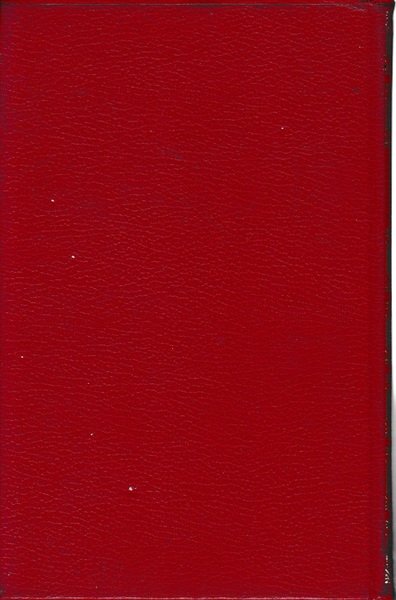 Demetrio Pianelli | Immagine Gallery 2