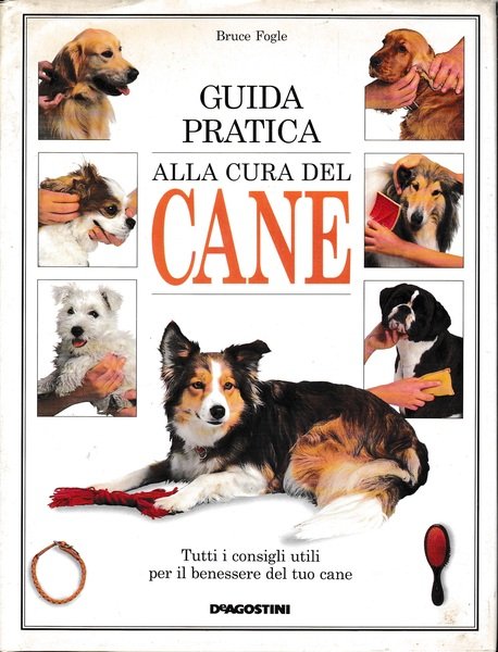 Guida pratica alla cura del cane | Immagine principale