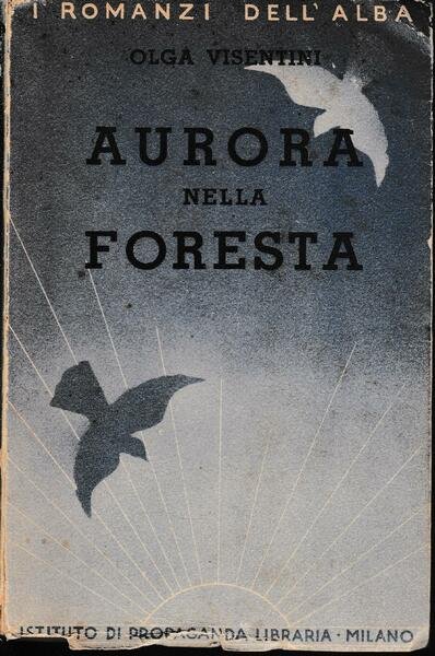 Aurora nella foresta