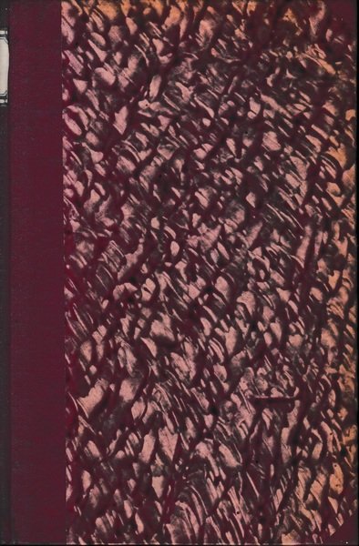 Commento al Codice Penale Italiano vol. 4