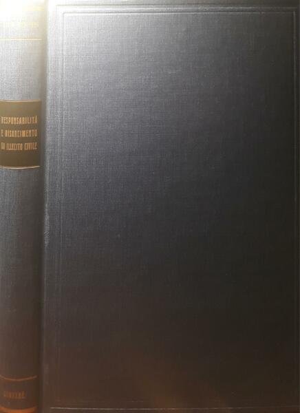 Responsabilità e risarcimento da illecito civile