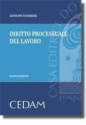 Diritto processuale del lavoro | Immagine principale