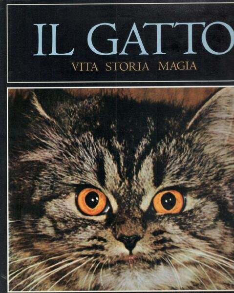 Il gatto, vita, storia, magia