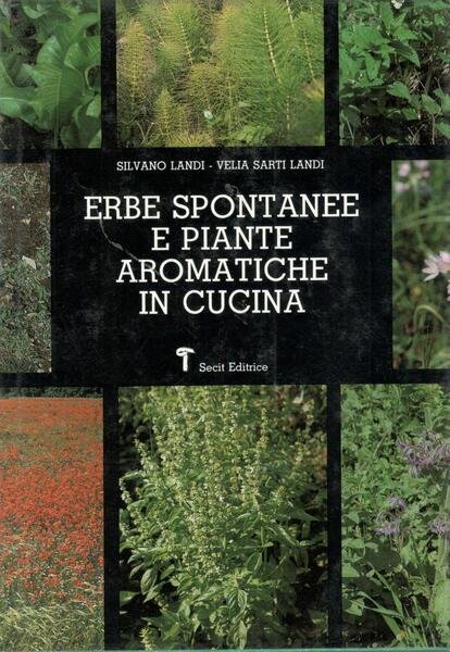 Erbe spontanee e piante aromatiche in cucina