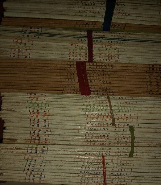 Lotto: Rivista mensile L'Italia Agricola illustrata | Immagine principale