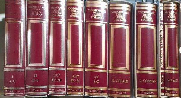 Treccani - il vocabolario della lingua italiana (8 volumi)