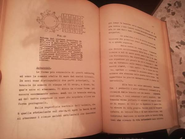 ZOOLOGIA