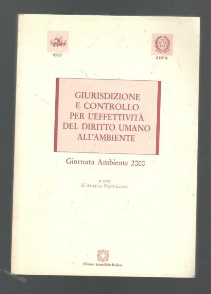 Giurisdizione e controllo per l'effettività del diritto umano all\'ambiente. Giornata … | Immagine principale
