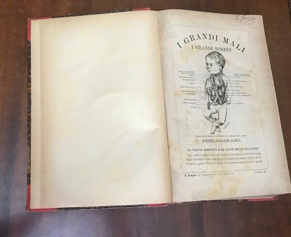 I grandi mali e i grandi rimedi. Trattato completo delle …