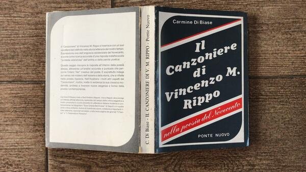 Il canzoniere di Vincenzo. M. Rippo