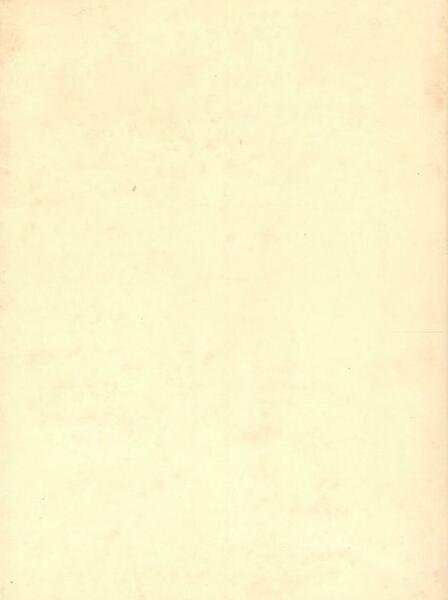 Sogni di legno, 127 tecniche miste su tavola, 20 oli …