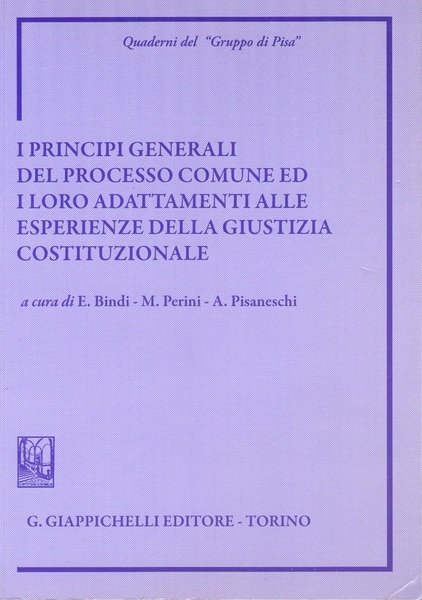 I principi generali del processo comune ed i loro adattamenti …