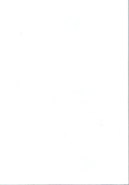 ARAMAICA | Immagine Gallery 2