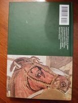 Storia della filosofia: dall'ellenismo ad Agostino D'Ippona