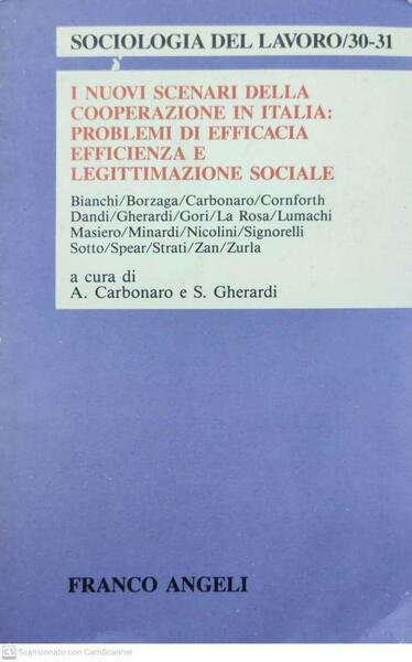 I nuovi scenari della cooperazione in Italia: problemi di efficacia, … | Immagine principale