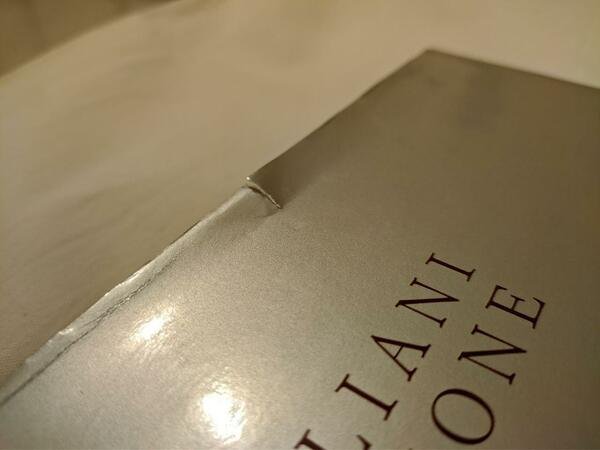 Testimoni italiani della rivoluzione