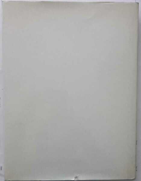 Gli affreschi giovanili del Parmigianino | Immagine principale