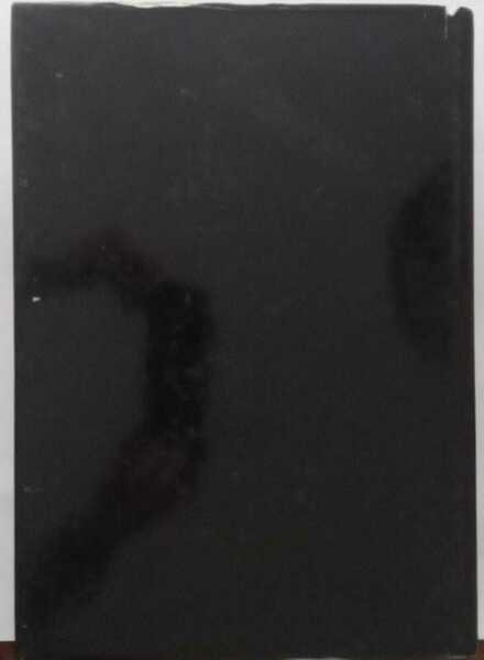 Arena di Verona 1913-1985 stagioni liriche nei programmi e nelle … | Immagine principale