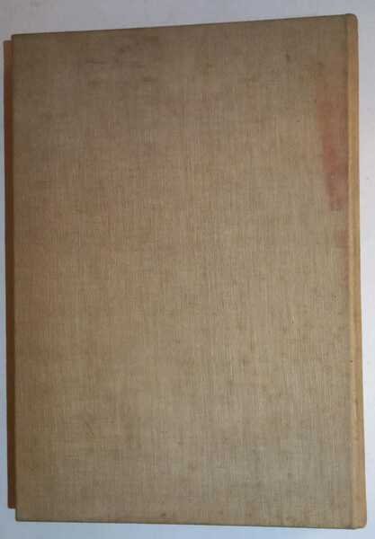 Latei Amerika | Immagine principale