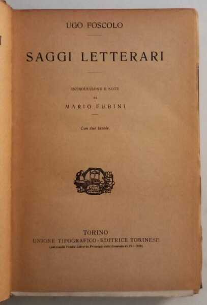 Saggi Letterari