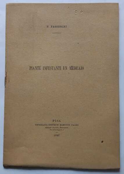 Piante infestanti un medicaio | Immagine Gallery 2