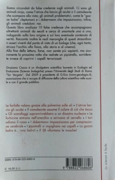 I tori odiano il rosso. 10 false credenze sugli animali | Immagine principale