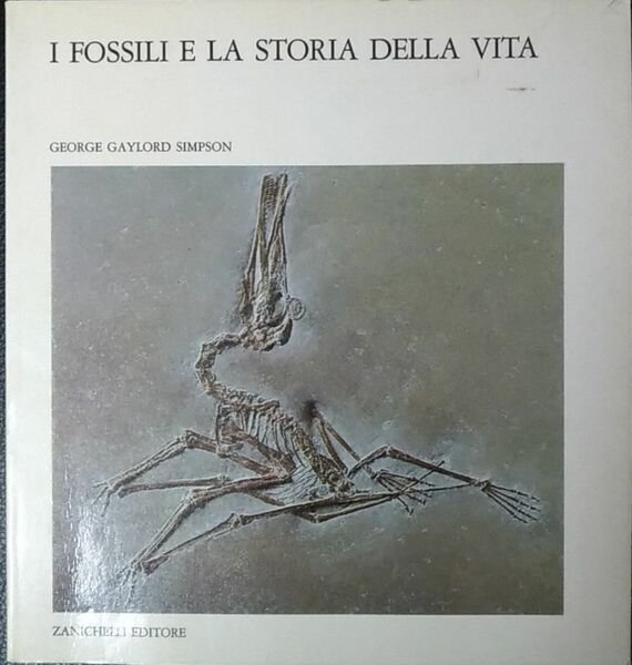 I fossili e la storia della vita | Immagine Gallery 3