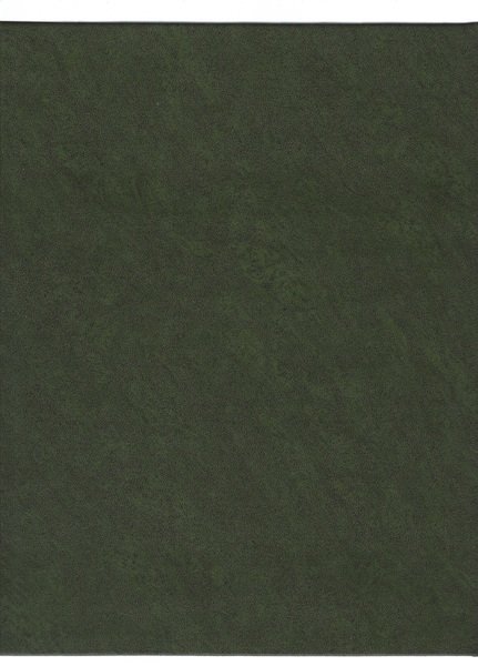 Collezione soldatini di piombo | Immagine principale