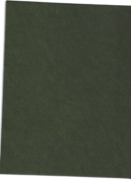 Collezione soldatini di piombo | Immagine Gallery 4