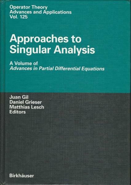 APPROACHES TO SINGULAR ANALYSIS | Immagine principale