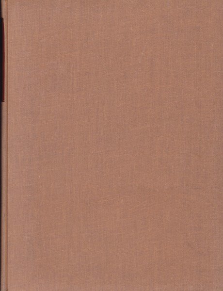 Gli ammortamenti: principi, tecniche, applicazioni.