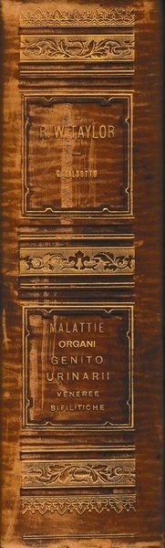 Malattie degli organi genito-urinari. Veneree e sifilitiche | Immagine principale