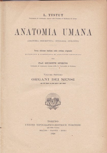 Anatomia umana. VII. Organi dei sensi.