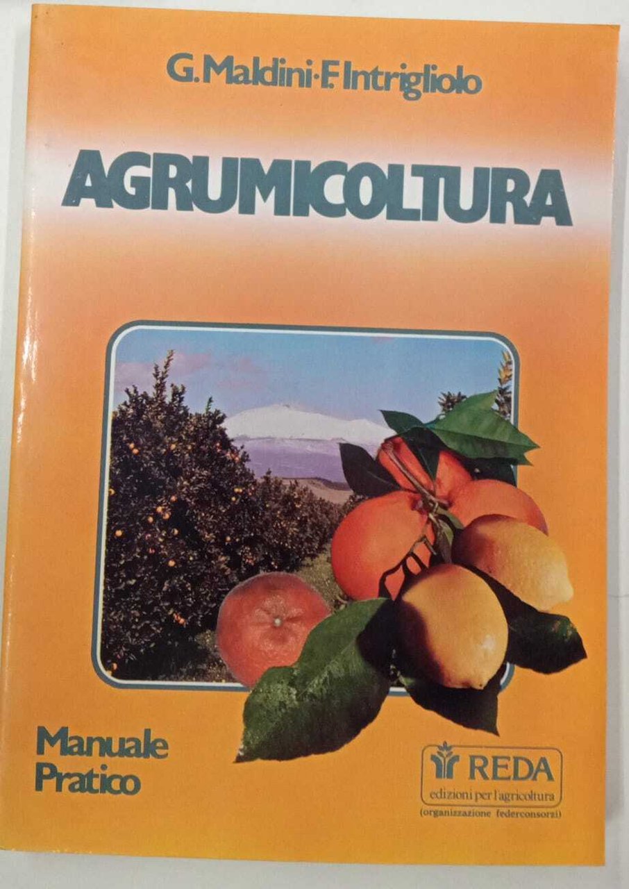 Agrumicoltura | Immagine principale