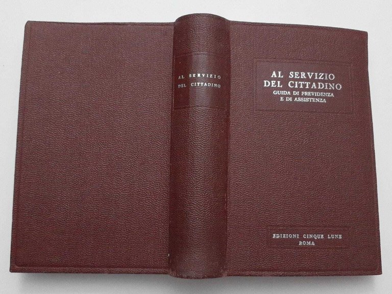 Al servizio del cittadino guida di previdenza e di assistenza | Immagine Gallery 2