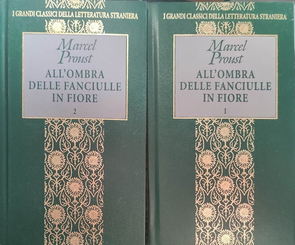 All'ombra delle fanciulle in fiore Vol.1 e 2 | Immagine principale